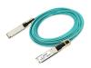Axiom 100GBase-AOC direct attach cable - 10 m