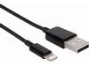 Axiom Lightning to USB Adapter Cable 6ft