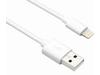 Axiom Lightning to USB Adapter Cable 3ft