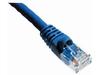 Axiom patch cable - 15 ft - blue