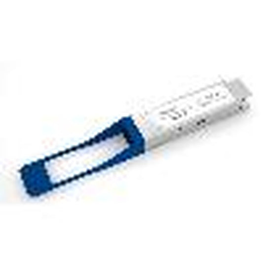 AXG101331 [UPSCALED]