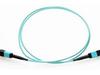 0.5M - MPO FEMALE/MPO FEMALE MULTIMODE