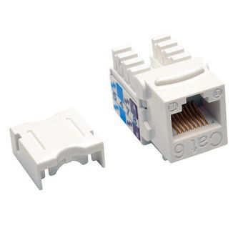 Tripp Lite WHT WLLPLT JACK,CAT6/5E 568A