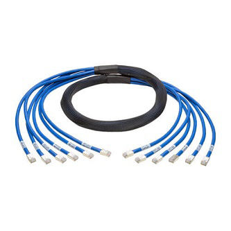 Cat6a 10G Pre-Terminated Copper Trunk Assembly (6x RJ45 M/M), Blue, 10 ft. (3.05 m)
