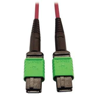 400G Multimode 50/125 OM4 Plenum-Rated Fiber Optic Cable, 16F MTP/MPO-APC (F/F), Magenta, 1 m