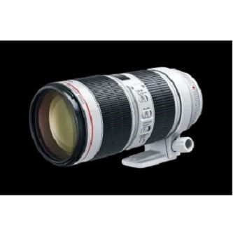 Canon 70-200mm f2.8L, Auto-Iris, Vari Focal (EF 70 200mm f/2.8L USM) : Horizontal field of view: