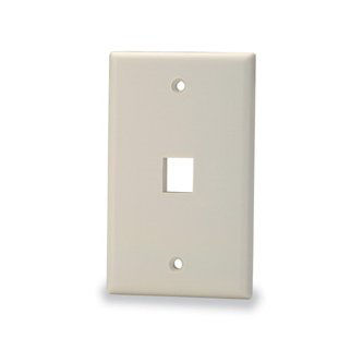 1-Port Single Gang Faceplate w/o Labeling, Light Ivory